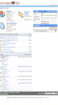 Mobile Screenshot of mysupportteam.com